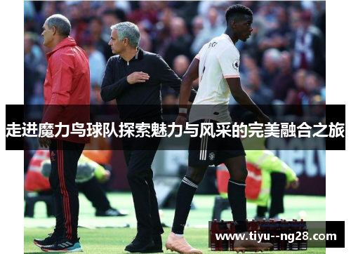 走进魔力鸟球队探索魅力与风采的完美融合之旅