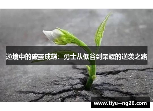 逆境中的破茧成蝶：勇士从低谷到荣耀的逆袭之路